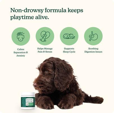 Anytime Peanut Flour & Pork Liver Flavored Soft Chew Calming Supplement for Dogs, 60 count