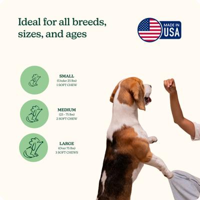 Evening Pork Flavored Soft Chew Skin & Coat Supplements for Dogs, 60 count