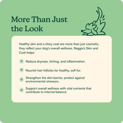 Evening Pork Flavored Soft Chew Skin & Coat Supplements for Dogs, 60 count