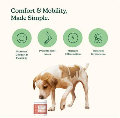 Morning Pork Flavored Soft Chew Hip & Joint Supplement for Dogs, 60 count