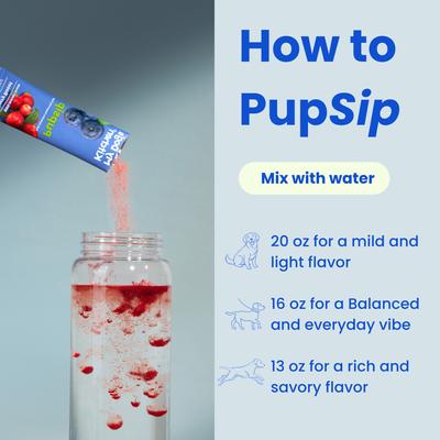 Berry Boost Natural Electrolytes & Hydration Mix Powder Supplement for Dogs, 12 count