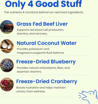 Berry Boost Natural Electrolytes & Hydration Mix Powder Supplement for Dogs, 12 count