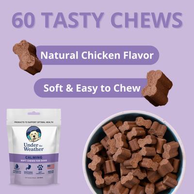 Calming Soft Chews Dog Supplement, 60 count