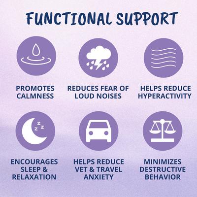 Calming Soft Chews Dog Supplement, 60 count