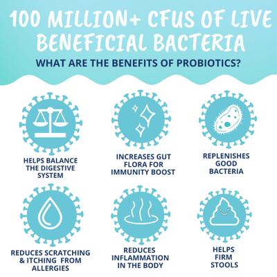 Probiotic Soft Chews Dog Supplement, 60 count