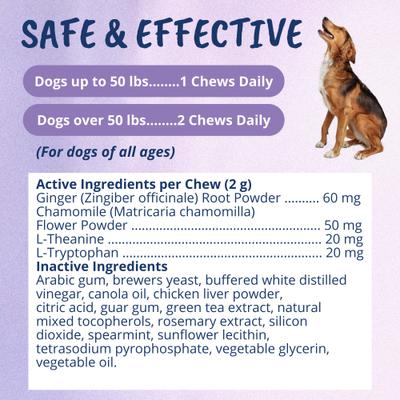 Calming Soft Chews Dog Supplement, 60 count