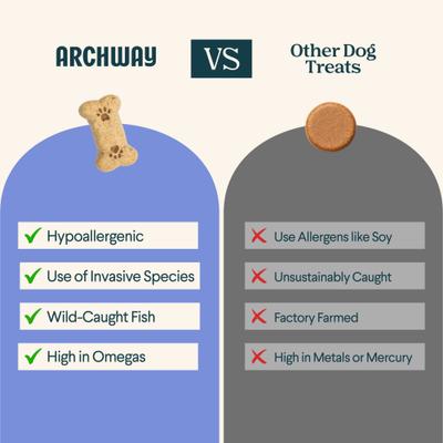 Silver Carp & Sweet Potato Biscuit Dog Treats, 5-oz bag