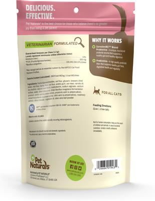Daily Probiotic Tummy Health Duck-Flavored Chews Digestive Aid for Cats, 160 count