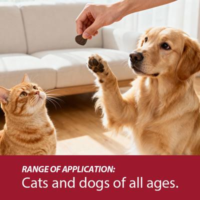 Lecithin Duck & Chicken Flavored Granules Skin & Coat Supplement for Dogs & Cats, 7.1-oz jar