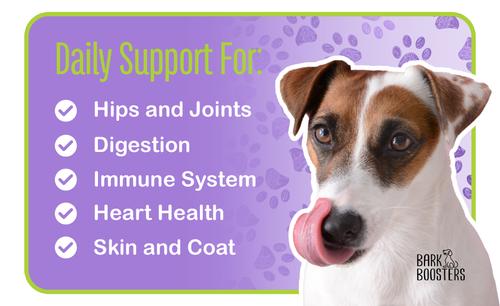 All-In-One Chicken Flavored Chews Multivitamin for Dogs, 60 count