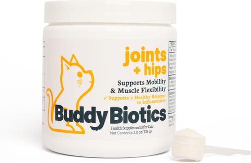 Joints + Hips Powder Supplement for Cats, 108-g jar