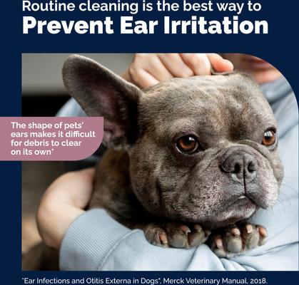 Octibliss Dog & Cat Dirt & Wax Removal Cleaning Ear Flush, 8-fl oz bottle