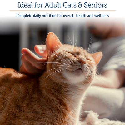 Rx Essentials Powder Multivitamin for Cats, 4-oz bottle