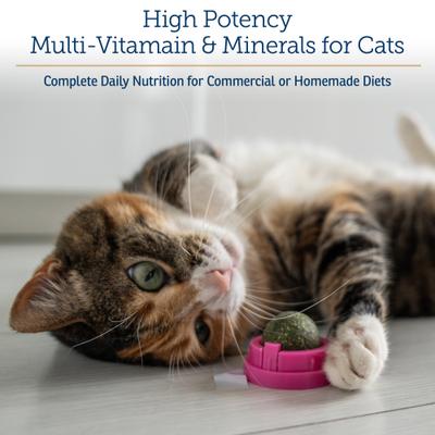 Rx Essentials Powder Multivitamin for Cats, 4-oz bottle