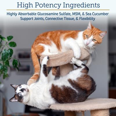 MegaFlex Capsules Joint Supplement for Cats & Dogs, 600 count