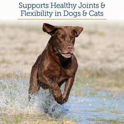 MegaFlex Capsules Joint Supplement for Cats & Dogs, 600 count