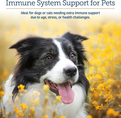 GlucaMune Capsules Immune Supplement for Cats & Dogs, 90 count