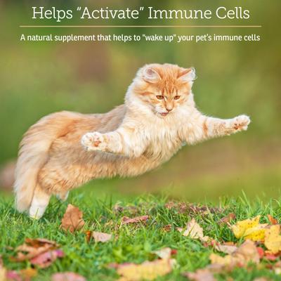 GlucaMune Capsules Immune Supplement for Cats & Dogs, 90 count