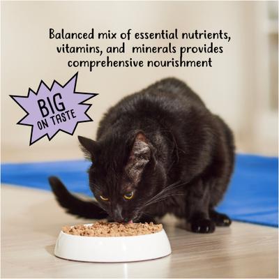 Savory Shreds In Gravy Variety Pack Canned Cat Food, 5.5-oz can, case of 12