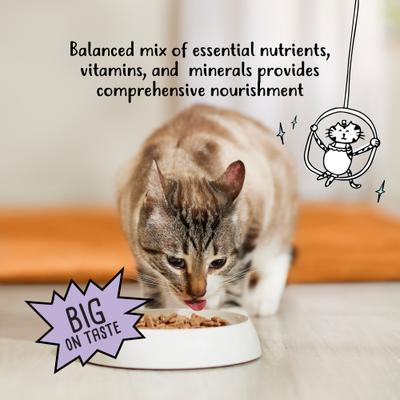 Shreds Turkey & Cheese Dinner in Gravy Canned Cat Food, 5.5-oz can, case of 24