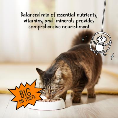 Shreds Chicken & Salmon Dinner in Gravy Canned Cat Food, 5.5-oz can, case of 24