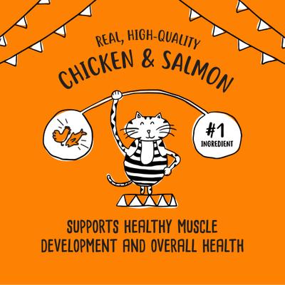 Shreds Chicken & Salmon Dinner in Gravy Canned Cat Food, 5.5-oz can, case of 24