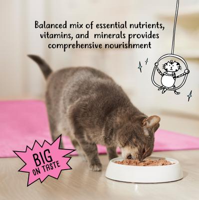 Pate Salmon Dinner Canned Cat Food, 5.5-oz can, case of 24