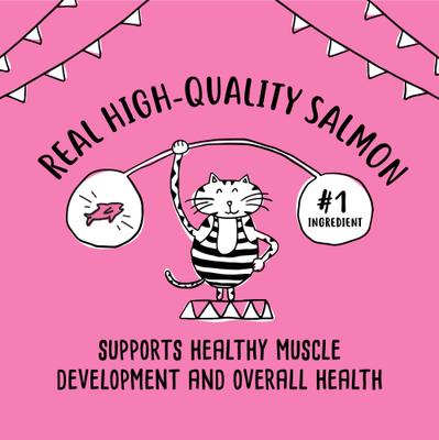 Pate Salmon Dinner Canned Cat Food, 5.5-oz can, case of 24