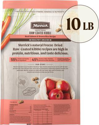 Healthy Grains Raw-Coated Kibble Real Salmon + Brown Rice Recipe Freeze-Dried Dry Dog Food, 10-lb bag