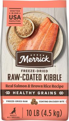 Healthy Grains Raw-Coated Kibble Real Salmon + Brown Rice Recipe Freeze-Dried Dry Dog Food, 10-lb bag
