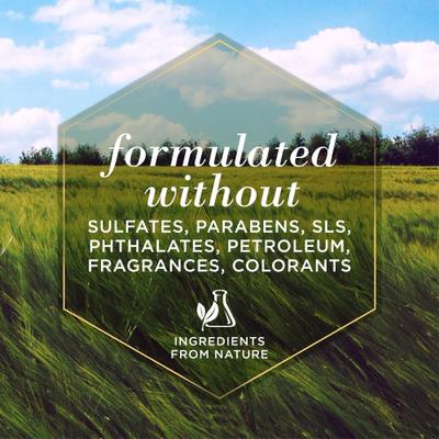 Oatmeal Dog Conditioner, 10-fl oz bottle