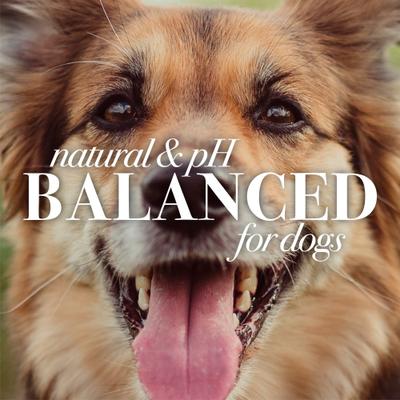 Oatmeal Dog Conditioner, 10-fl oz bottle