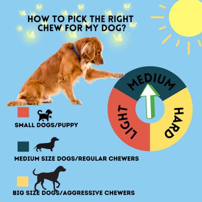 12-in Bully Sticks Dog Treats, Regular Size, 6 count