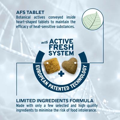 Active Echo Dry Dog Food, 22-lb bag