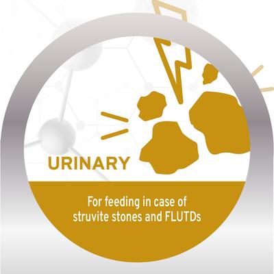 Active Urinary Dry Cat Food, 0.88-lb bag