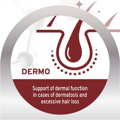 Active Dermo Dry Dog Food, 8.8-lb bag