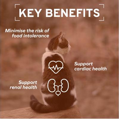 Actiwet Renal Support Wet Cat Food, 3.5-oz, case of 12