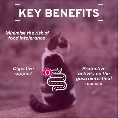 Actiwet Digestive Support with Salmon Wet Cat Food, 3.5-oz, case of 12