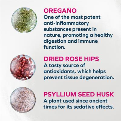 Actiwet Digestive Support with Salmon Wet Dog Food, 3.5-oz, case of 12