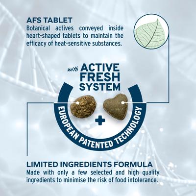 Active Intestinal Support Diet Dry Cat Food, 0.88-lb bag