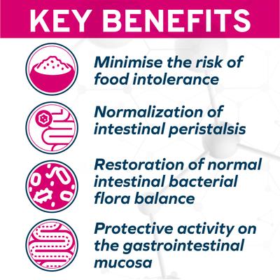 Active Intestinal Support Diet Dry Cat Food, 0.88-lb bag