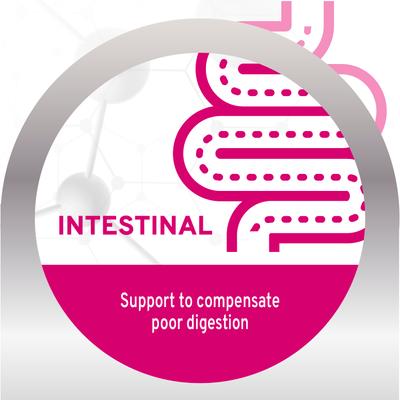 Active Intestinal Support Diet Dry Cat Food, 0.88-lb bag