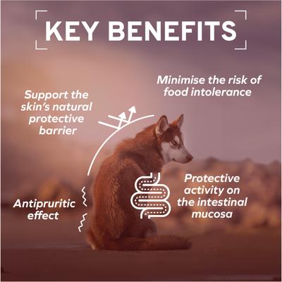 Active Dermo Dry Dog Food, 8.8-lb bag