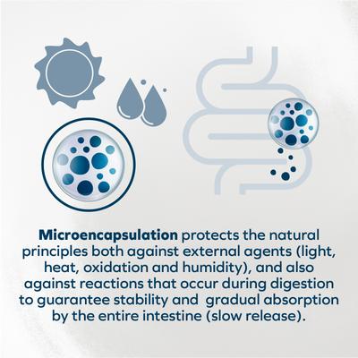 Actiwet Digestive Support with Salmon Wet Dog Food, 3.5-oz, case of 12