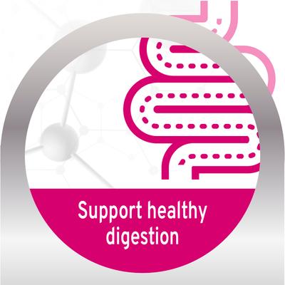 Actiwet Digestive Support with Salmon Wet Cat Food, 3.5-oz, case of 12