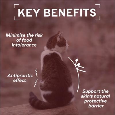 ActiWet Dermo Support with Mediterranean White Fish Canned Cat Food, 3.5-oz, case of 32