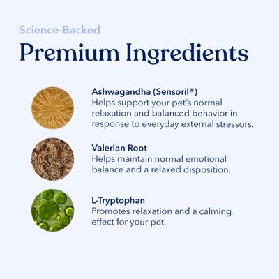 Calming Peanut Butter Supplement for Dogs, 12-oz jar