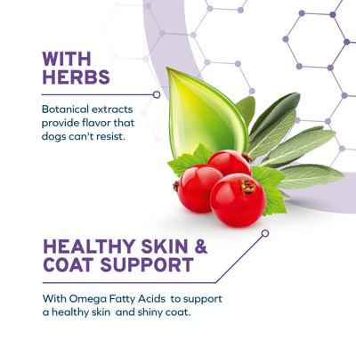 DailyPro Sensitive Skin Grain-Free Seafood & Fish Dry Dog Food, 22-lb bag