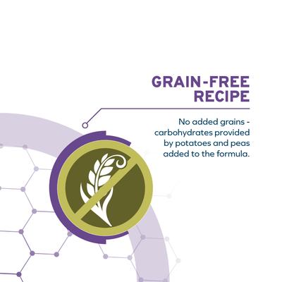 DailyPro Sensitive Skin Grain-Free Seafood & Fish Dry Dog Food, 22-lb bag