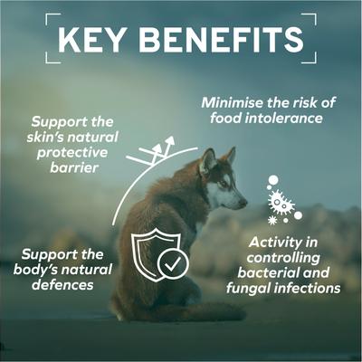 Active Echo Hydrolyzed-Protein Seafood & Fish Dry Dog Food, 8.8-lb bag